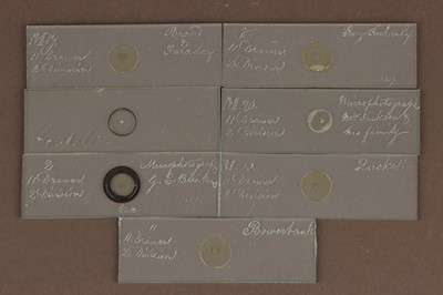 Lot 27 - A Good Collection of Microscope Microphotographs