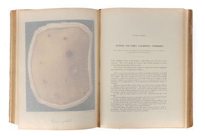 Lot 247 - The Museum of St Louis Hospital - Syphilis