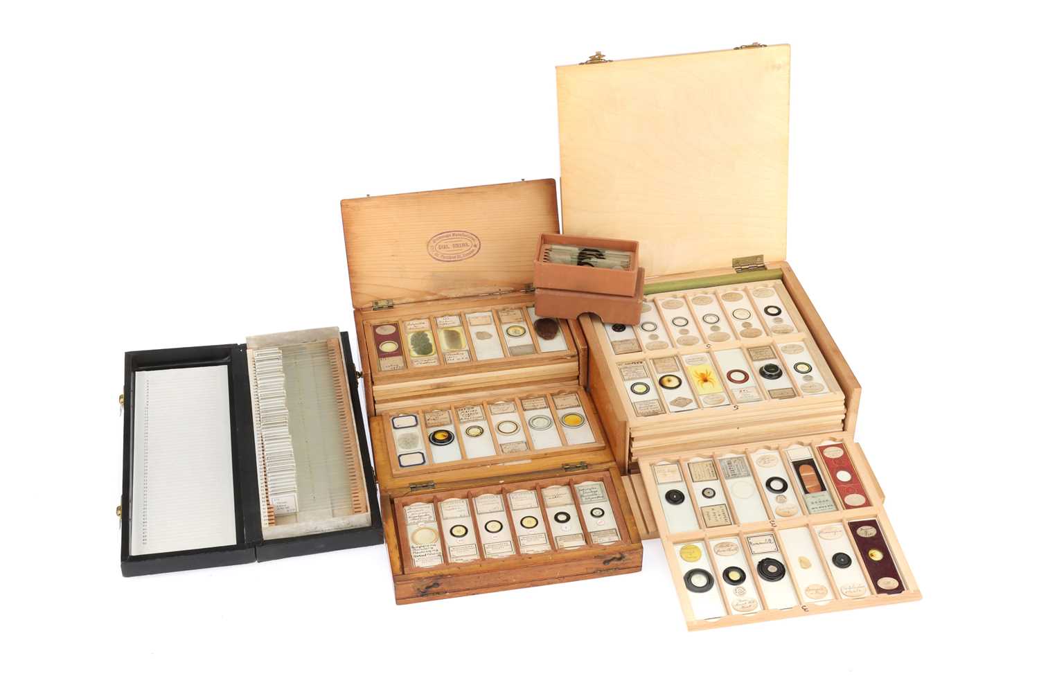 Lot 306 - Large Collection of Microscope Slides