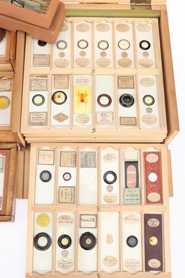 Lot 306 - Large Collection of Microscope Slides