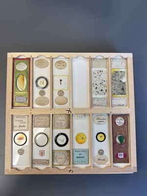 Lot 306 - Large Collection of Microscope Slides