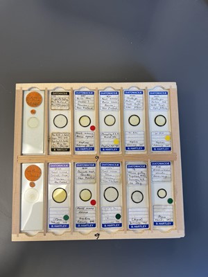 Lot 306 - Large Collection of Microscope Slides