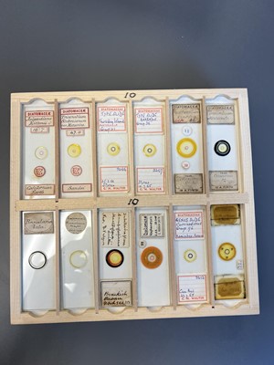 Lot 306 - Large Collection of Microscope Slides