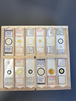 Lot 306 - Large Collection of Microscope Slides