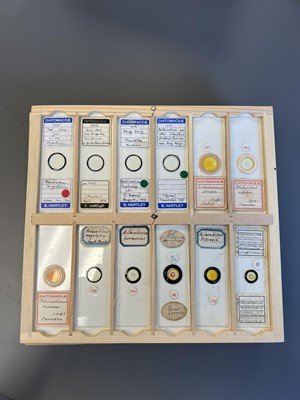 Lot 306 - Large Collection of Microscope Slides