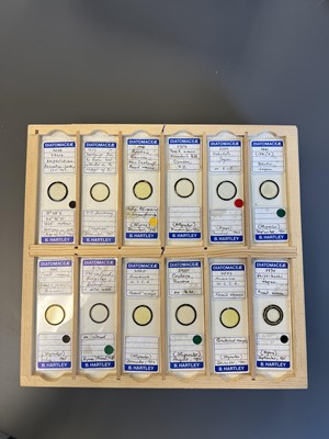 Lot 306 - Large Collection of Microscope Slides