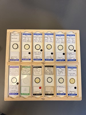 Lot 306 - Large Collection of Microscope Slides