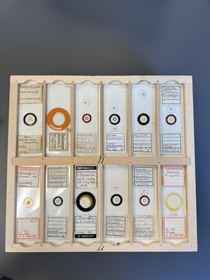 Lot 306 - Large Collection of Microscope Slides