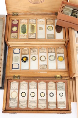 Lot 306 - Large Collection of Microscope Slides