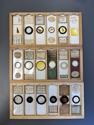 Lot 306 - Large Collection of Microscope Slides