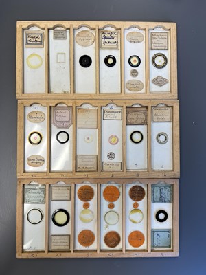 Lot 306 - Large Collection of Microscope Slides