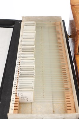 Lot 306 - Large Collection of Microscope Slides