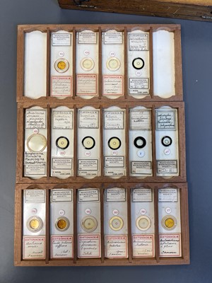 Lot 306 - Large Collection of Microscope Slides