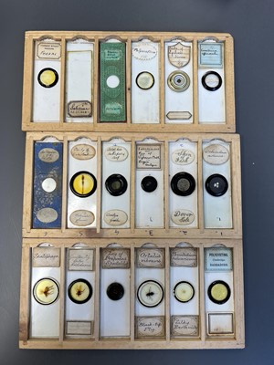 Lot 306 - Large Collection of Microscope Slides