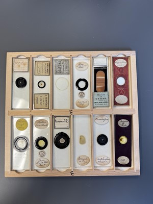 Lot 306 - Large Collection of Microscope Slides