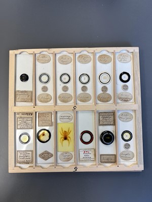 Lot 306 - Large Collection of Microscope Slides