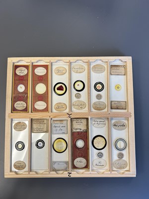 Lot 306 - Large Collection of Microscope Slides