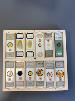 Lot 306 - Large Collection of Microscope Slides