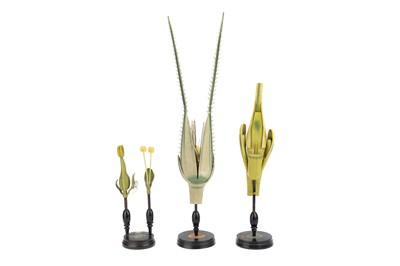 Lot 333 - Collection of 3 Brendel Didactic Botanical Models