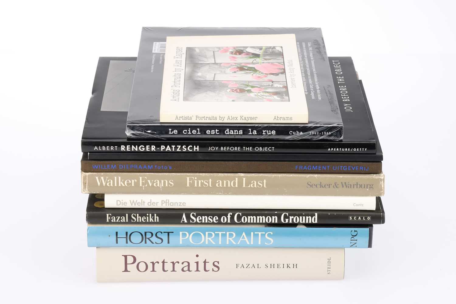 Lot 817 A Collection of Large Format Books of Famous