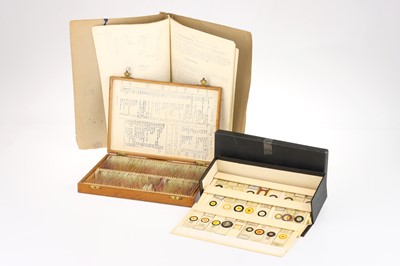 Lot 373 - Collection of Microscope Slides