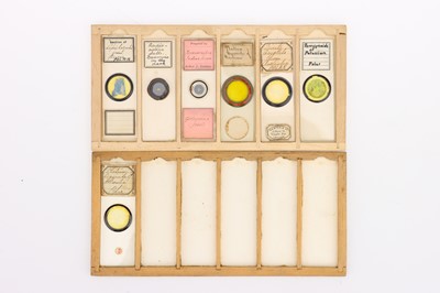 Lot 374 - A Collection of Microscope Slides