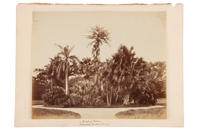 Lot 67 - Photograph Album of India