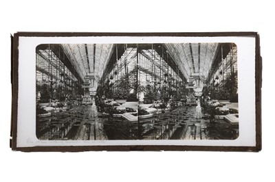 Lot 139 - Glass Stereoviews of Crystal Palace