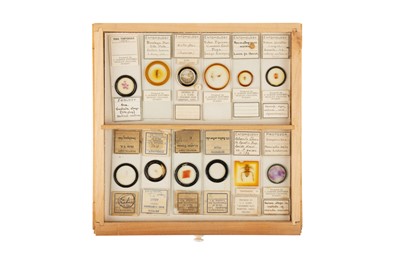 Lot 118 - Collection of Microscope Slides
