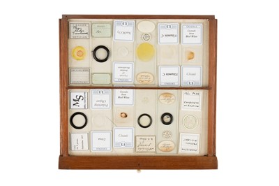 Lot 118 - Collection of Microscope Slides