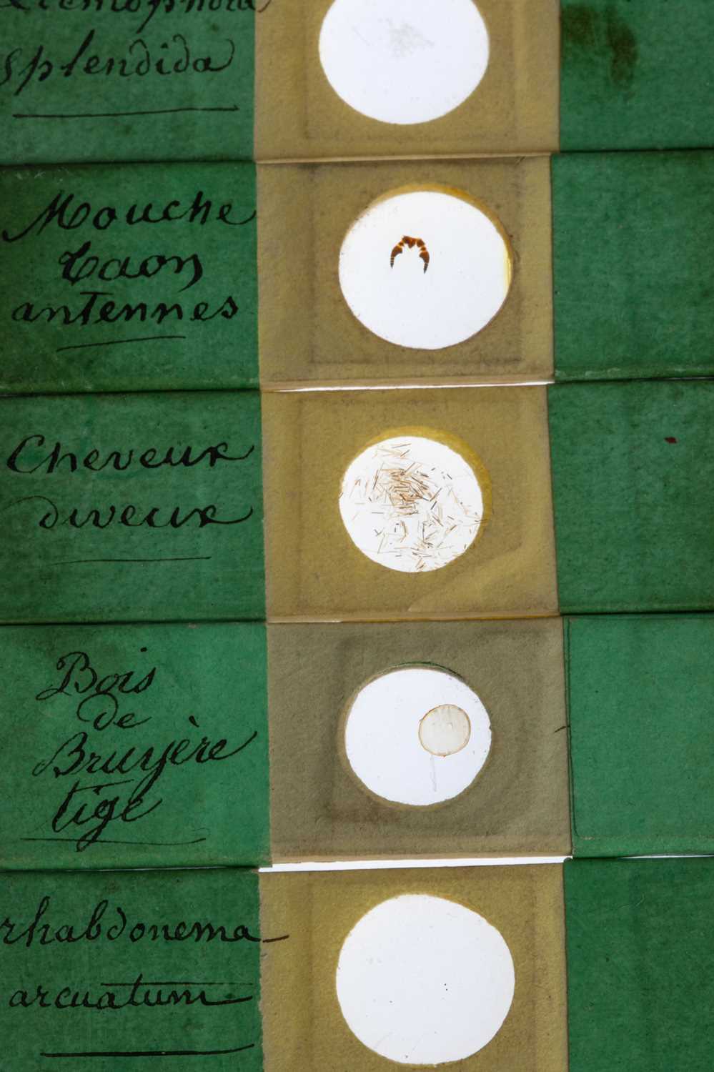 Lot 129 - Collection of Early Microscope Slides,
