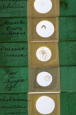 Lot 129 - Collection of Early Microscope Slides