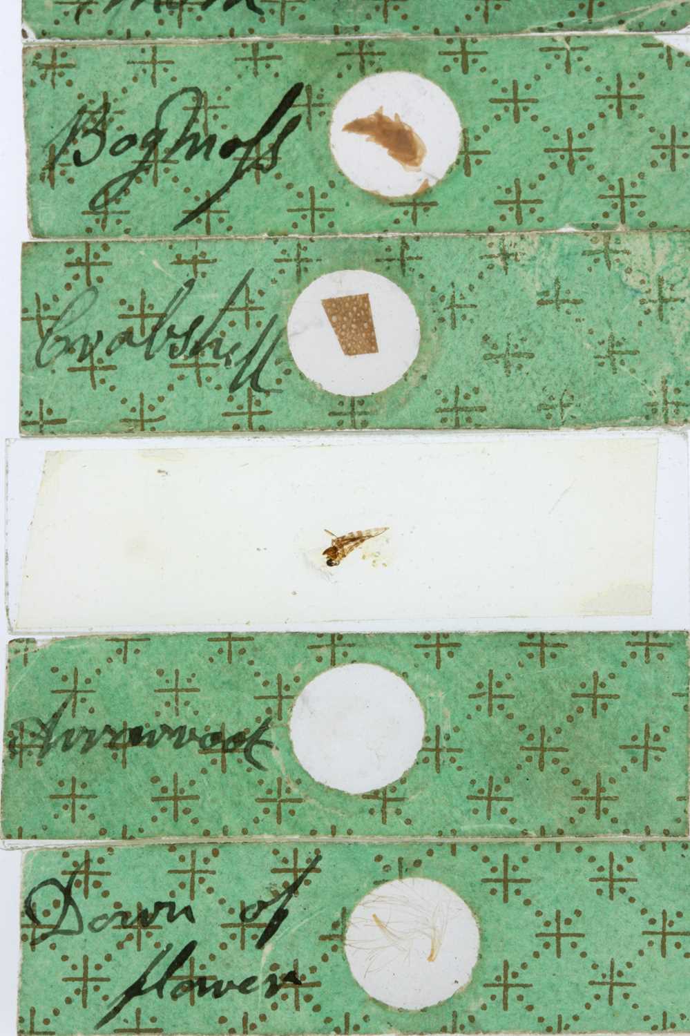 Lot 129 - Collection of Early Microscope Slides,