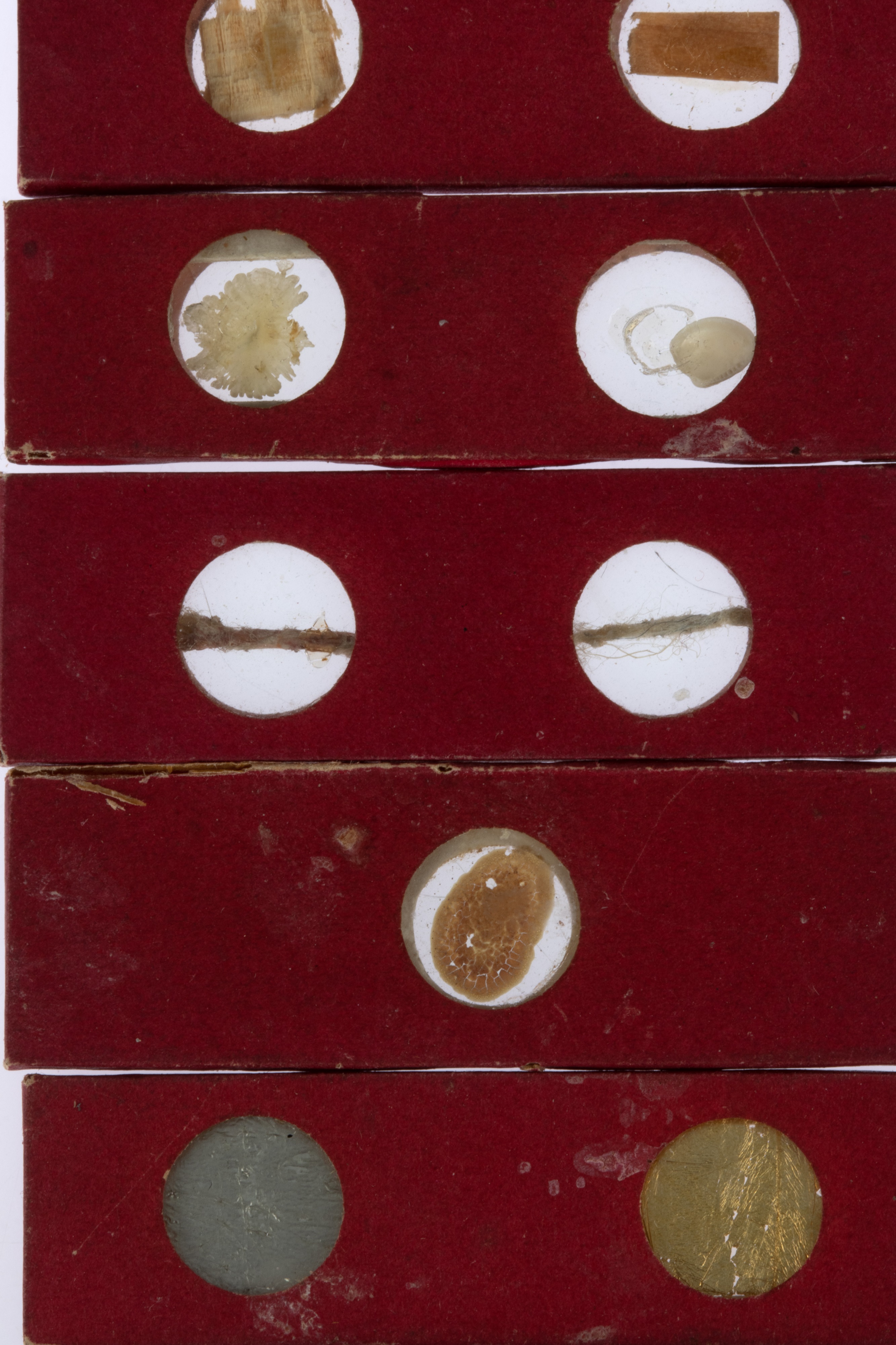 Lot 129 - Collection of Early Microscope Slides,