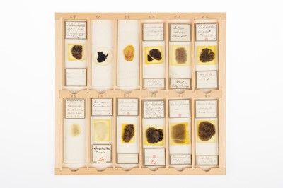 Lot 122 - A Good Collection of Geological Microscope Slides