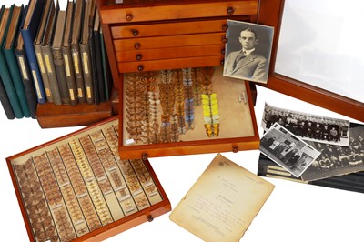 Lot 187 - An Important Butterfly & Moth Collection & Archive of Dr.T. H. C. Taylor