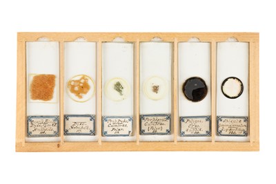 Lot 119 - A Small Cabinet of Geological Microscope Slides
