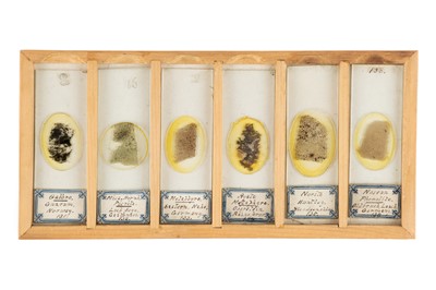 Lot 119 - A Small Cabinet of Geological Microscope Slides