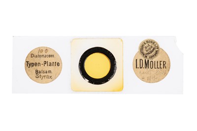 Lot 123 - Möller Typen-Platte Diatom Microscope Slide