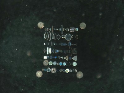 Lot 123 - Möller Typen-Platte Diatom Microscope Slide