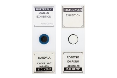Lot 127 - 2 Kemp Exhibition Microscope Slides