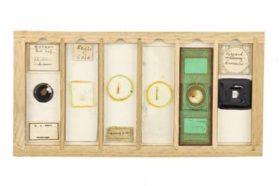 Lot 760 - Collection of Microscope Slides