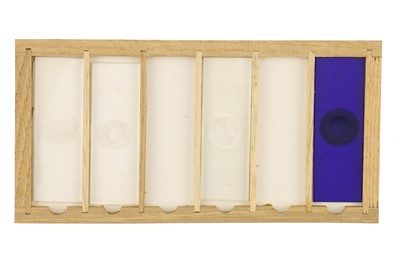 Lot 760 - Collection of Microscope Slides