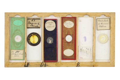 Lot 760 - Collection of Microscope Slides