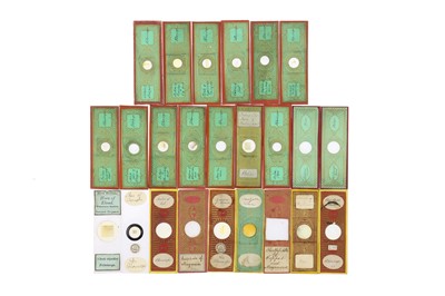 Lot 760 - Collection of Microscope Slides