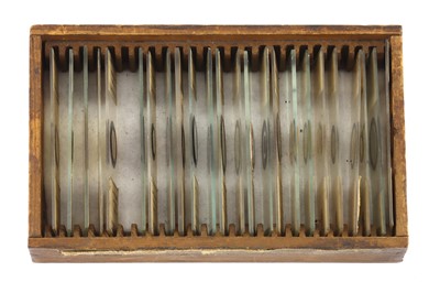 Lot 760 - Collection of Microscope Slides