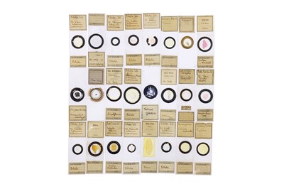 Lot 760 - Collection of Microscope Slides