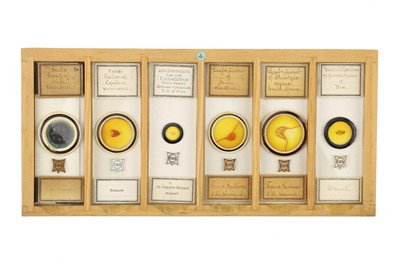 Lot 760 - Collection of Microscope Slides