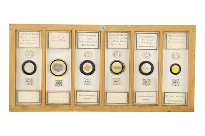 Lot 760 - Collection of Microscope Slides