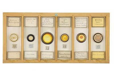 Lot 760 - Collection of Microscope Slides